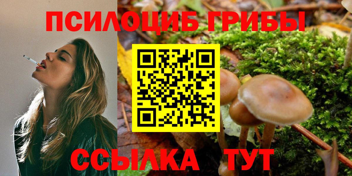 Галлюциногенные грибы GOLDEN TEACHER  Галлюциногенные грибы GOLDEN TEACHER  Волоколамск  Вход с VPN 